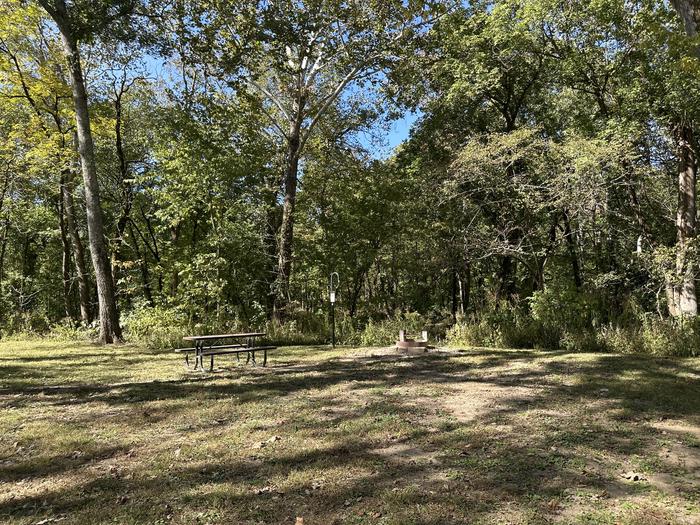 A photo of Site 705 of Loop Loop 700 at ALLEY SPRING with Picnic Table, Fire Pit, Lantern Pole