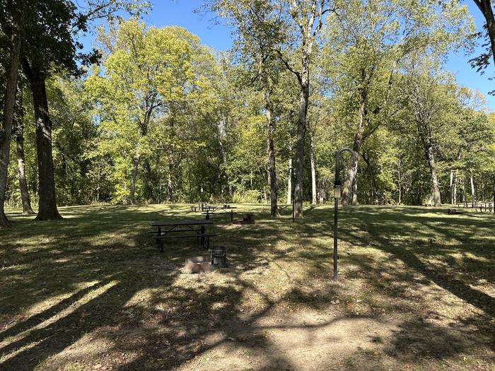 A photo of Site 725 of Loop Loop 700 at ALLEY SPRING with Picnic Table, Fire Pit, Lantern Pole