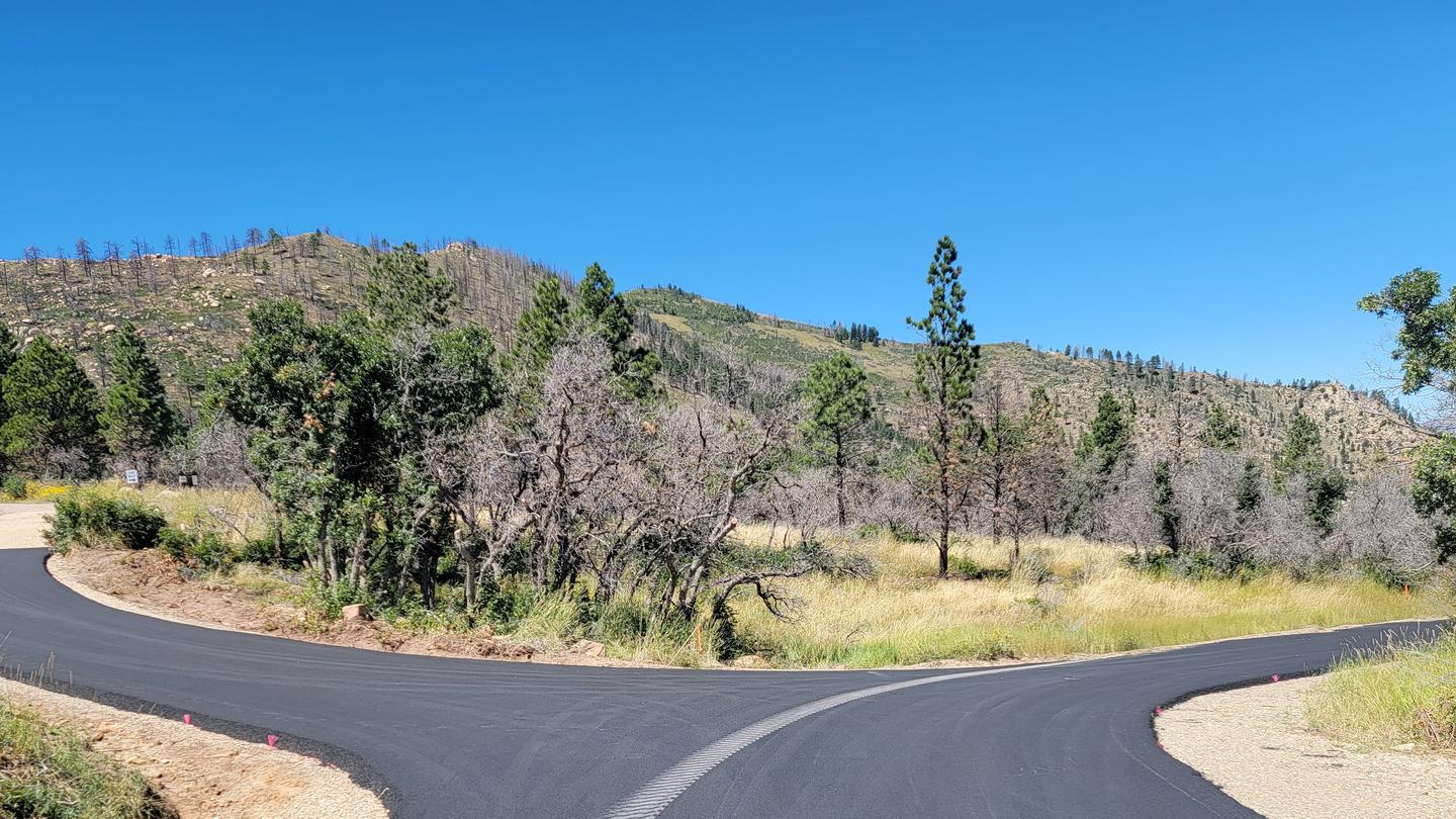 A road splits into a loop in front of a small stand of trees.Campground loops at Price Canyon Recreation Area