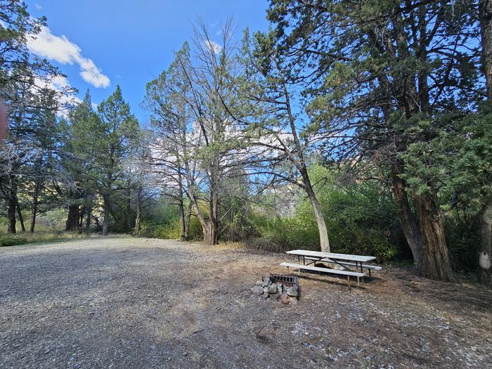 Campsite along North Fork Malheur RiverA graveled campsite along a thick bank of riparian vegetation with picnic table and fire ring.