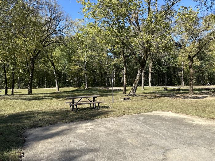 A photo of Site 516 of Loop Loop 500 at ALLEY SPRING with Picnic Table, Fire Pit, Waterfront, Lantern Pole