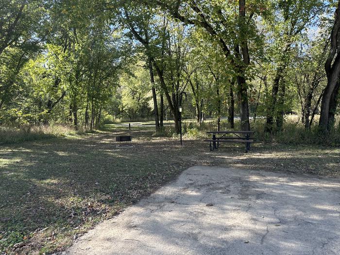 A photo of Site 910 of Loop Loop 900 at ALLEY SPRING with Picnic Table, Fire Pit, Lantern Pole