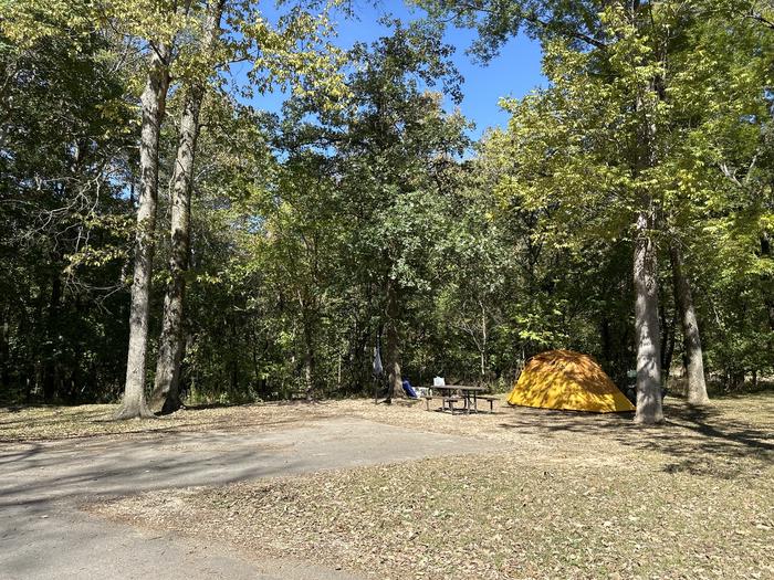 A photo of Site 505 of Loop Loop 500 at ALLEY SPRING with Picnic Table, Fire Pit, Lantern Pole