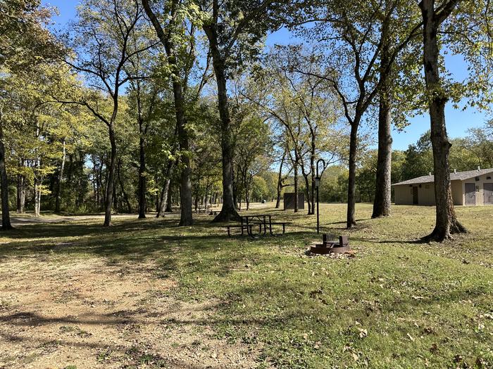 A photo of Site 501 of Loop Loop 500 at ALLEY SPRING with Picnic Table, Fire Pit, Lantern Pole