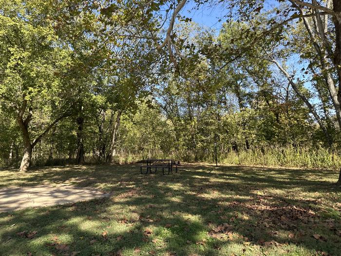 A photo of Site 825 of Loop Loop 800 at ALLEY SPRING with Picnic Table, Fire Pit, Lantern Pole