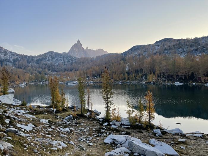 trees with pine needles turning yellow in the fall in front of a shimmering lake and mountain peaks in the background.View of Prusik Peak in the Core Enchantments, with larches scattered throughout the foreground.