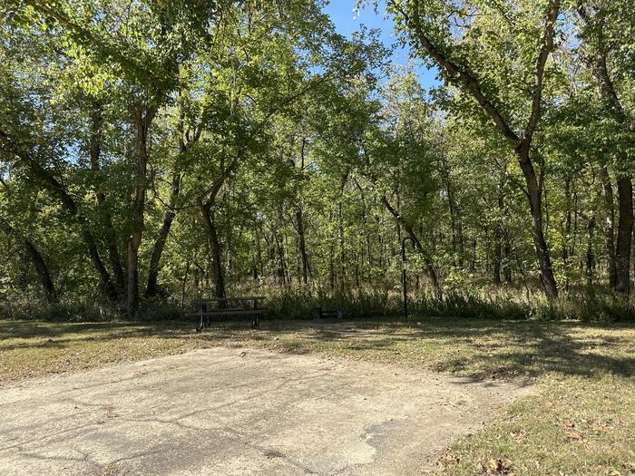 A photo of Site 905 of Loop Loop 900 at ALLEY SPRING with Picnic Table, Fire Pit, Shade, Lantern Pole
