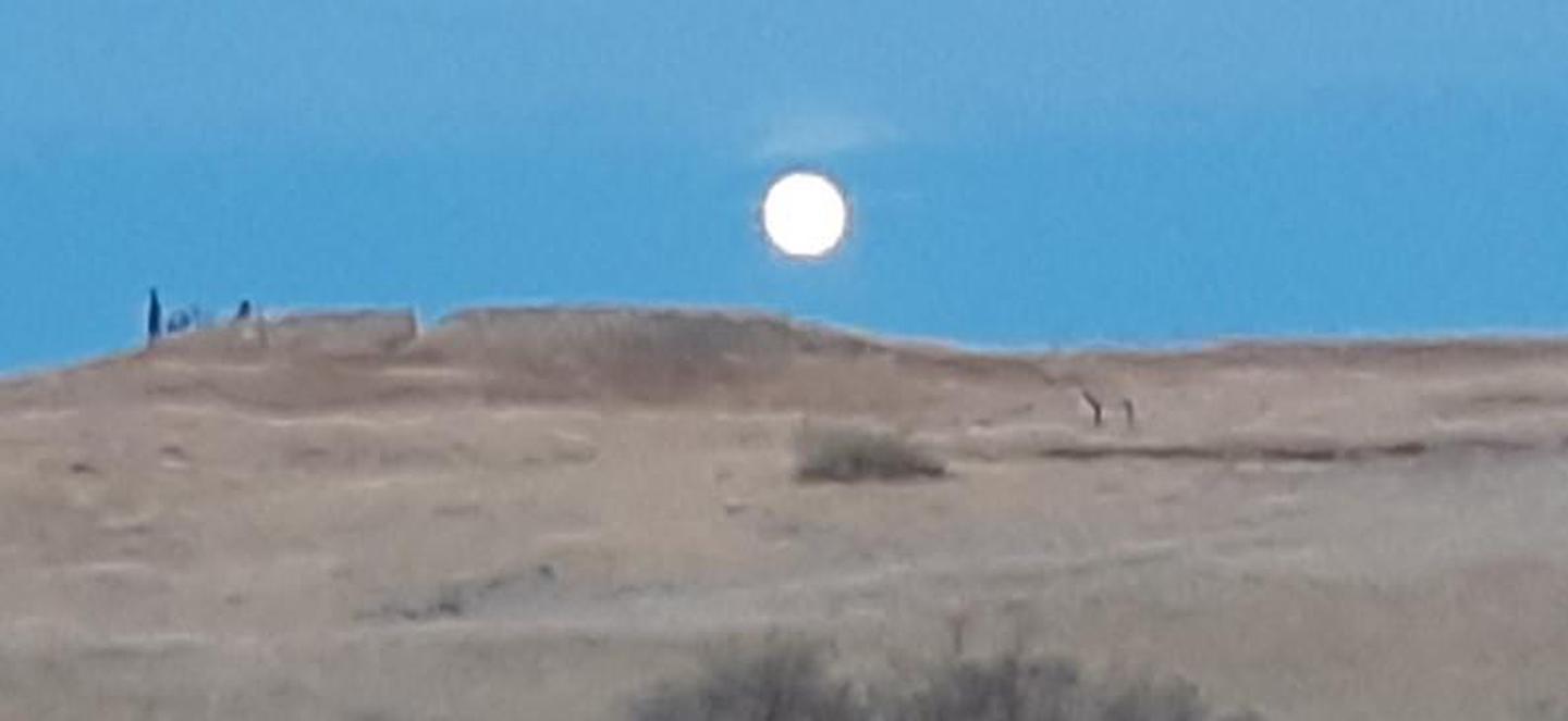 Rising Full MoonLittle Bighorn Battlefield National Monument moon rising above the Indian Memorial