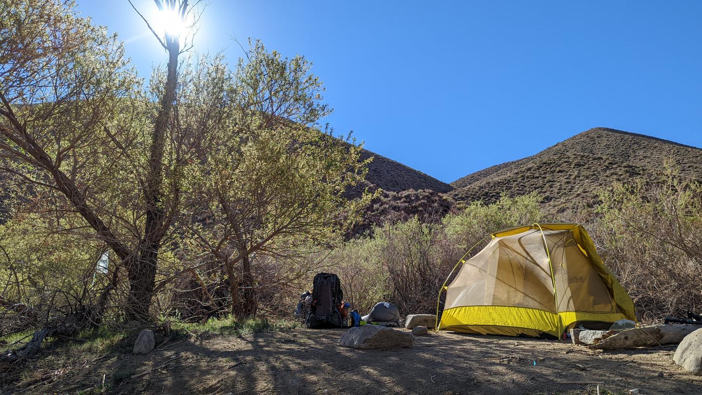 Single yellow tent and backpacking pack within cottonwood trees in the foreground, mountains and clear blue skies in the background.Backcountry campsite set up within cottonwood trees in Cottonwood Canyon.