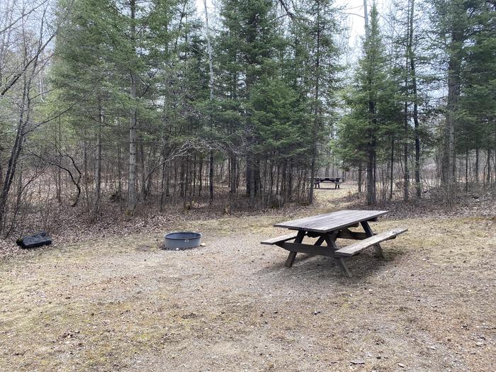 A photo of Site 031 of Loop Long Term at WHITEFACE RESERVOIR with Picnic Table, Fire Pit