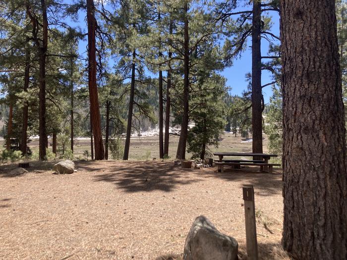 A photo of Site 01  of Loop E at WILLIAMS CREEK CAMPGROUND with Picnic Table, Sewer Hookup, Fire Pit, Shade, Water Hookup