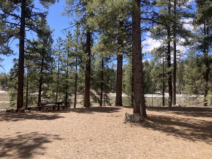 A photo of Site 01  of Loop E at WILLIAMS CREEK CAMPGROUND with Picnic Table, Sewer Hookup, Fire Pit, Shade, Water Hookup