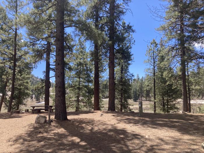 A photo of Site 01  of Loop E at WILLIAMS CREEK CAMPGROUND with Picnic Table, Sewer Hookup, Fire Pit, Shade, Water Hookup