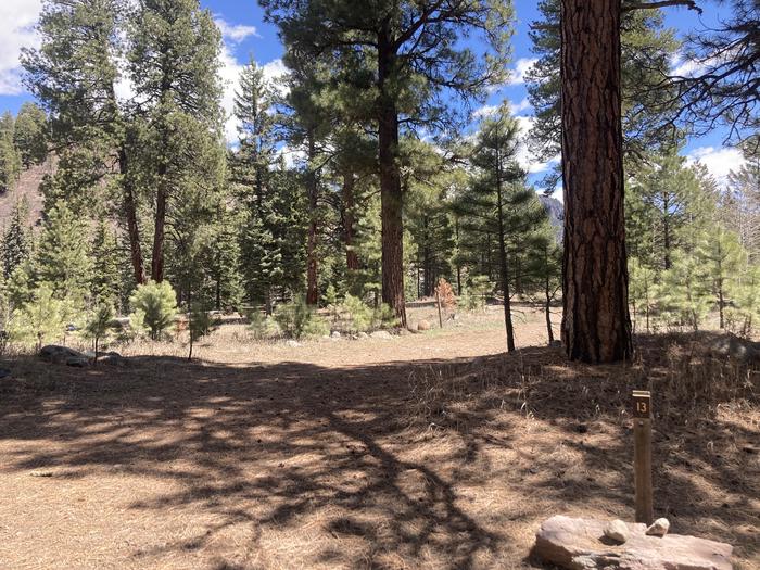 A photo of Site 13 of Loop E at WILLIAMS CREEK CAMPGROUND with Picnic Table, Fire Pit
