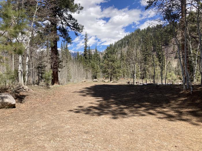 A photo of Site 14 of Loop E at WILLIAMS CREEK CAMPGROUND with Picnic Table, Fire Pit