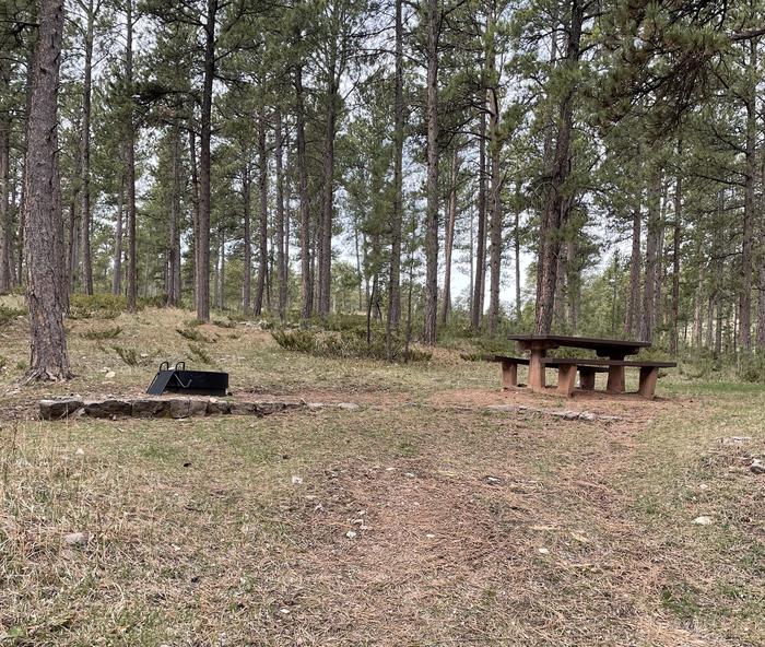 Site 5 Picnic Area Site 5 picnic table and fire ring 