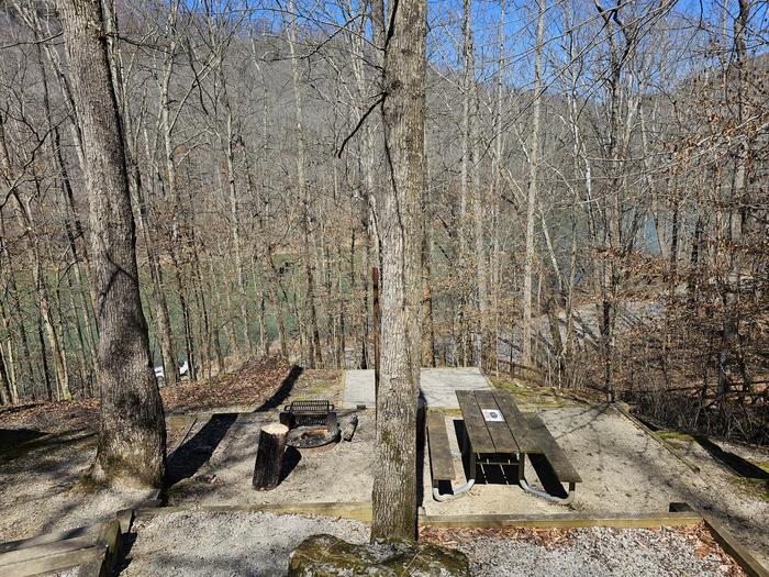 Tent site overlooks the lake through the trees.Campsite 2