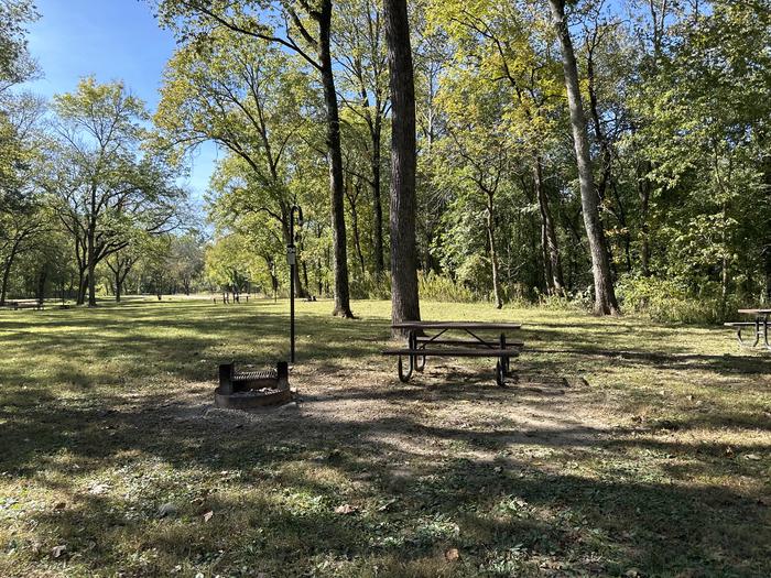 A photo of Site 704 of Loop Loop 700 at ALLEY SPRING with Picnic Table, Fire Pit, Lantern Pole