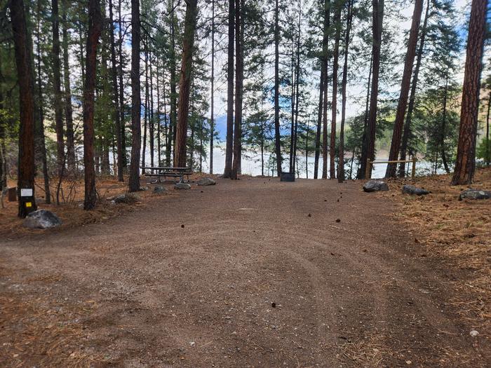 camp site parking spur with picnic table and fire ring near lakeSite 9, Premium, Lakeside