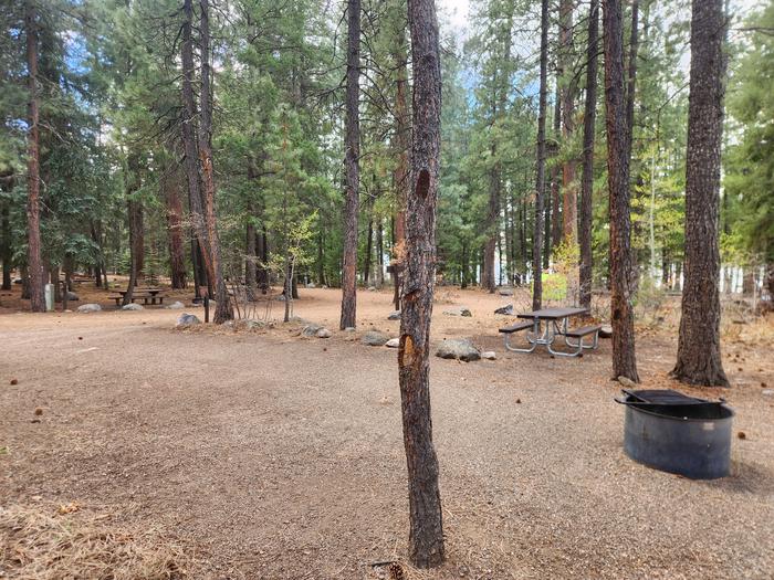 camp site parking spur with picnic table and fire ring in pine treesSite 9 looking from back