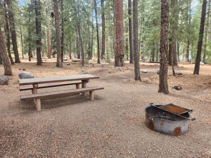 picnic table and fire ring in camp sitePicnic table and fire ring located to the right of site 10, if backed in.