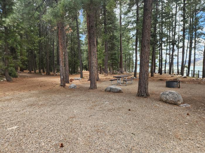 campsite in pines near lakeSite 11 viewed from left rear