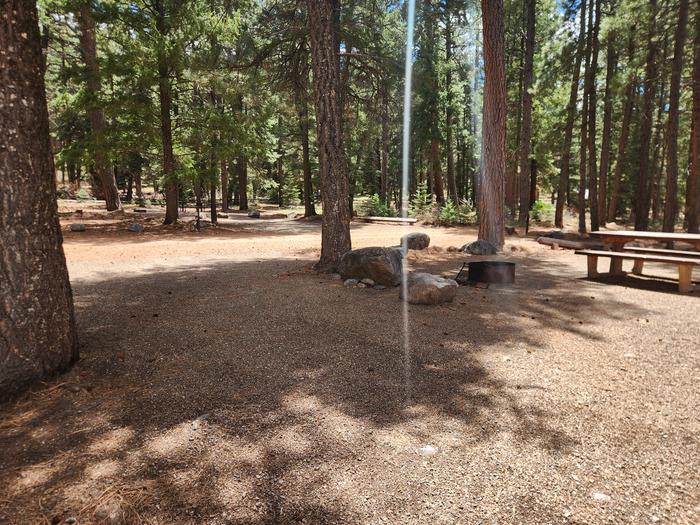 camp site parking spur with picnic table and fire ring in pine treesSite 15 looking from back side