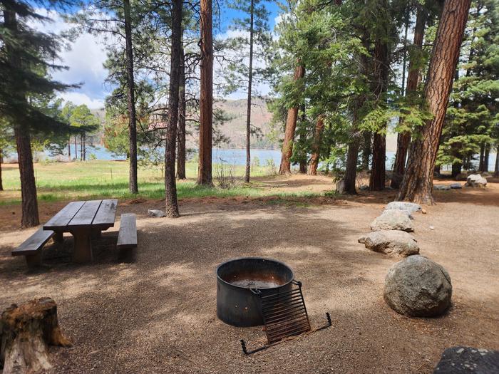 picnic table and fire ring in camp sitePicnic table and fire ring.  Located on right side if you pull through site.