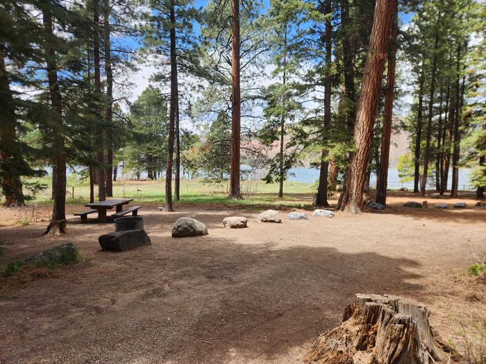 campsite located in pines, lake viewSite 19, pull thru spur, different angle