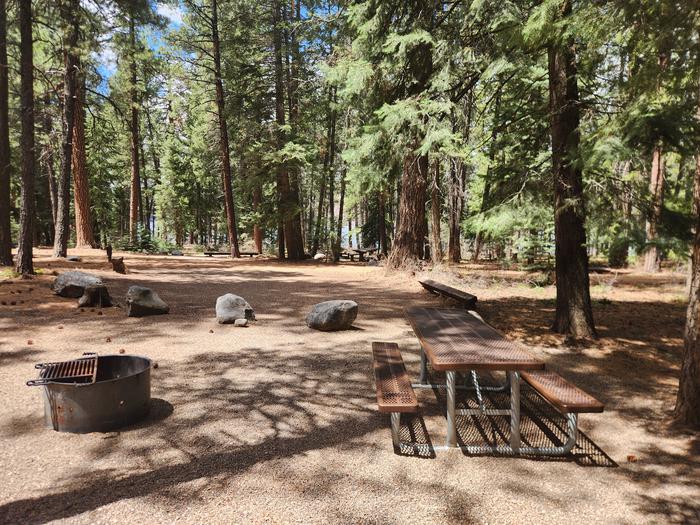 picnic table and fire ring in camp sitePicnic table and fire ring located at rear of site