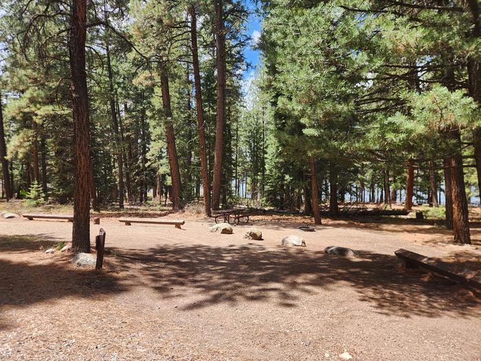 camp site parking spur with picnic table and fire ring in pine treesSite 23, pull thru spur