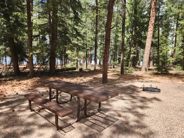 picnic table and fire ring in pine treesPicnic table and fire ring to right side of site when you pull through.