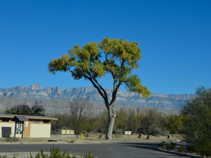 Preview photo of Rio Grande Village Group Campground (Big Bend, TX)