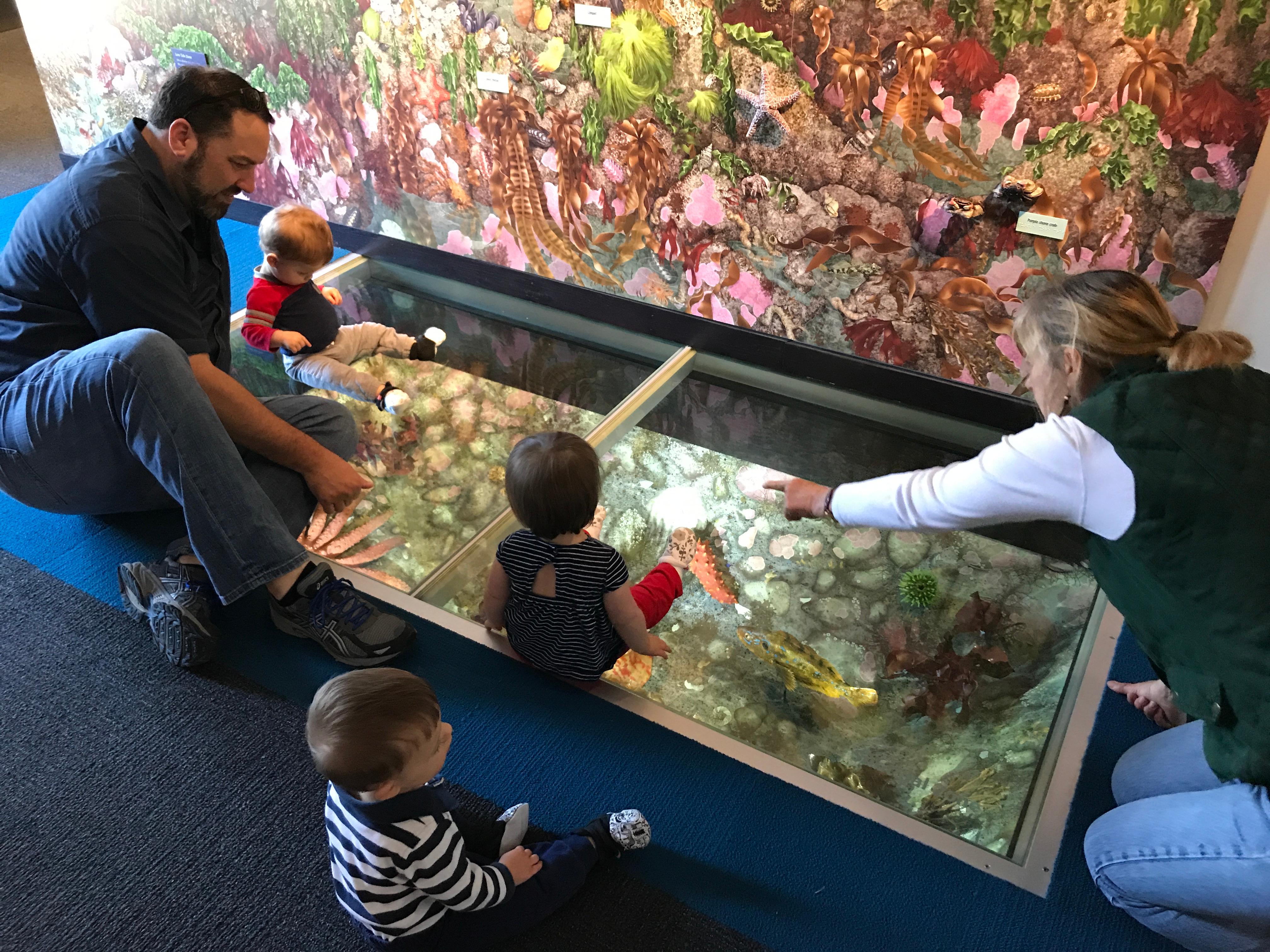 Visitor Center Exhibits