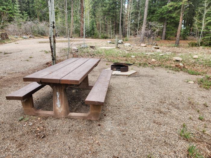 Site C5C5 picnic table and fire ring on right when backed in