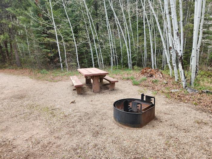 Picnic table and fire ring on right side if pulled-thru