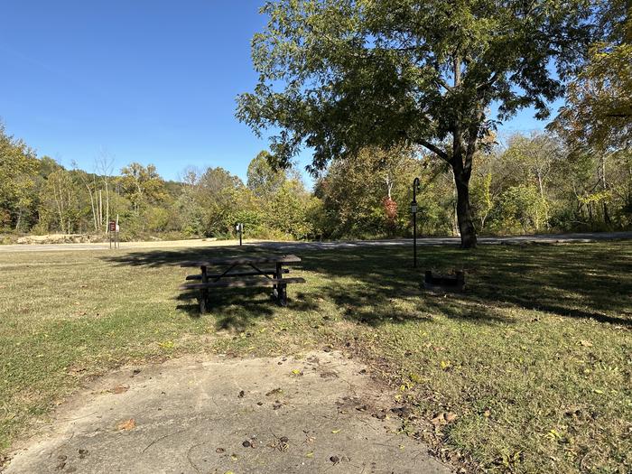 A photo of Site 114 of Loop Loop 100 at ALLEY SPRING with Picnic Table, Fire Pit, Shade, Lantern Pole