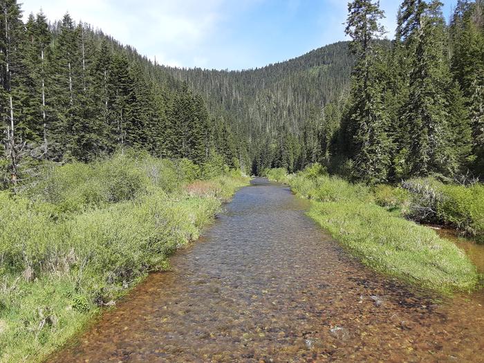 Little North Fork of the Coeur d'Alene River