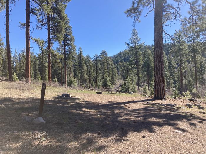 A photo of Site 51 of Loop A at WILLIAMS CREEK CAMPGROUND with Picnic Table, Fire Pit, Shade