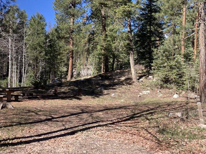 A photo of Site 27 of Loop C at WILLIAMS CREEK CAMPGROUND with Picnic Table, Fire Pit, Shade
