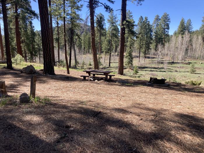 A photo of Site 30 of Loop B at WILLIAMS CREEK CAMPGROUND with Picnic Table, Fire Pit, Shade