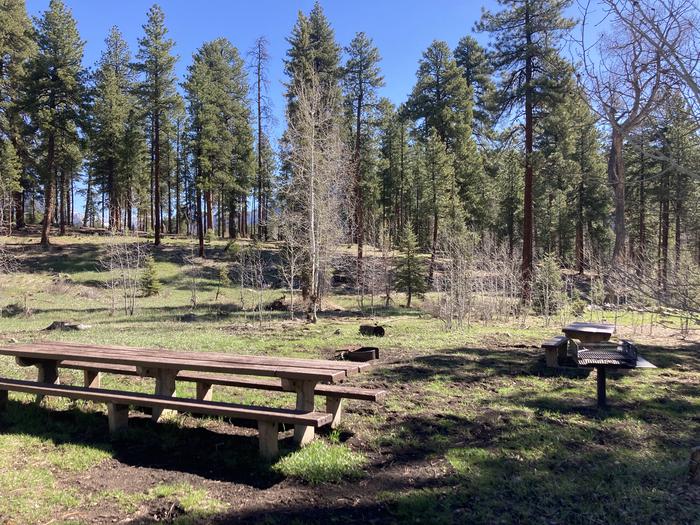 A photo of Site 25 of Loop C at WILLIAMS CREEK CAMPGROUND with Picnic Table, Fire Pit, Shade, Tent Pad
