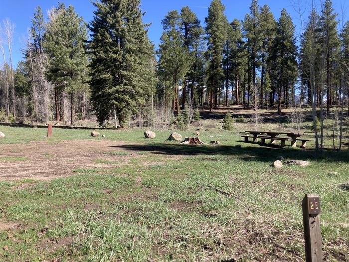 A photo of Site 25 of Loop C at WILLIAMS CREEK CAMPGROUND with Picnic Table, Fire Pit, Shade