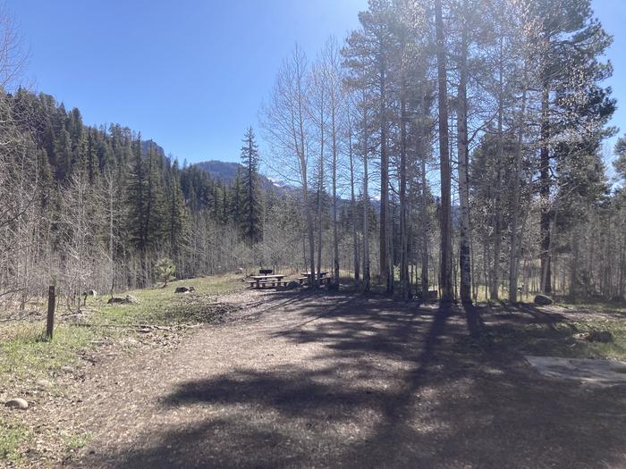 A photo of Site 16 of Loop D at WILLIAMS CREEK CAMPGROUND with Picnic Table, Fire Pit, Shade