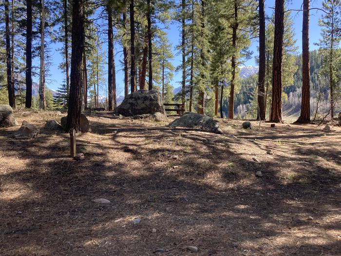 A photo of Site 31 of Loop B at WILLIAMS CREEK CAMPGROUND with Picnic Table, Fire Pit, Shade