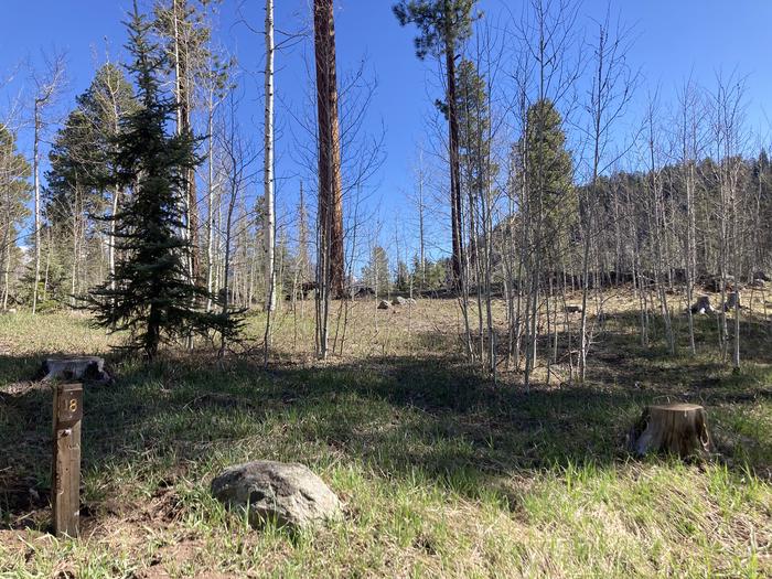 A photo of Site 18 of Loop D at WILLIAMS CREEK CAMPGROUND with Picnic Table, Fire Pit, Shade