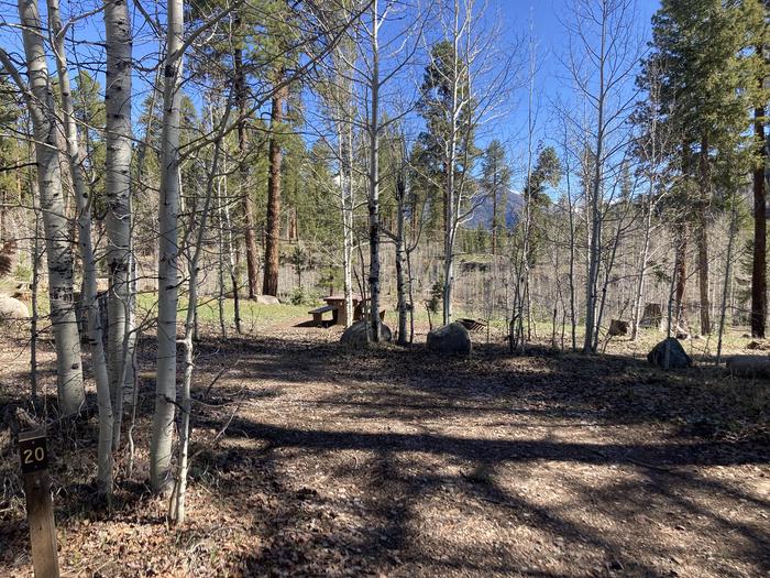 A photo of Site 20 of Loop D at WILLIAMS CREEK CAMPGROUND with Picnic Table, Fire Pit, Shade