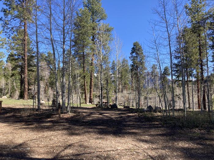 A photo of Site 20 of Loop D at WILLIAMS CREEK CAMPGROUND with Picnic Table, Fire Pit, Shade