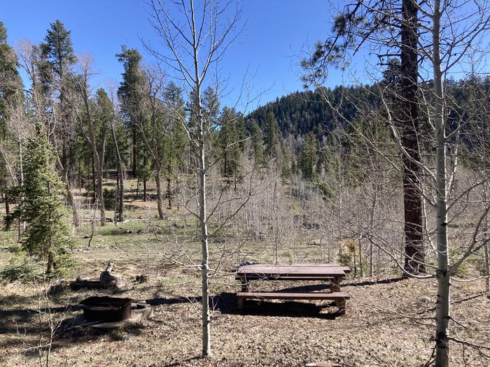 A photo of Site 22 of Loop D at WILLIAMS CREEK CAMPGROUND with Picnic Table, Fire Pit, Shade