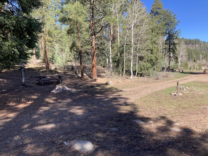 A photo of Site 28 of Loop C at WILLIAMS CREEK CAMPGROUND with Picnic Table, Fire Pit, Shade